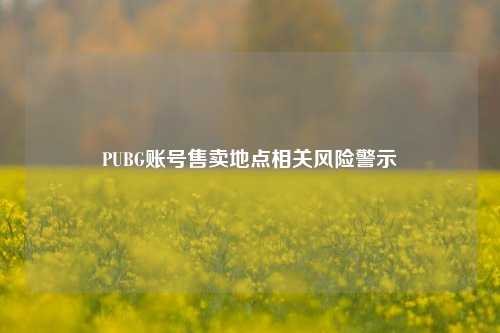 PUBG账号售卖地点相关风险警示