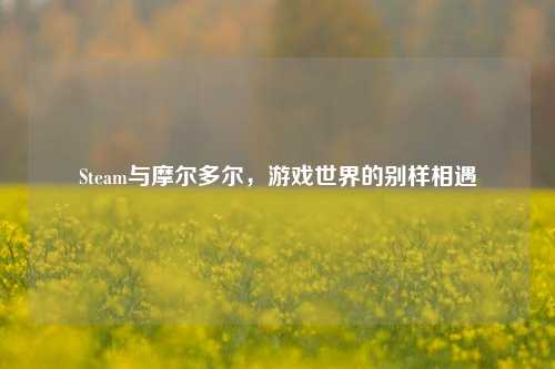 Steam与摩尔多尔,游戏世界的别样相遇