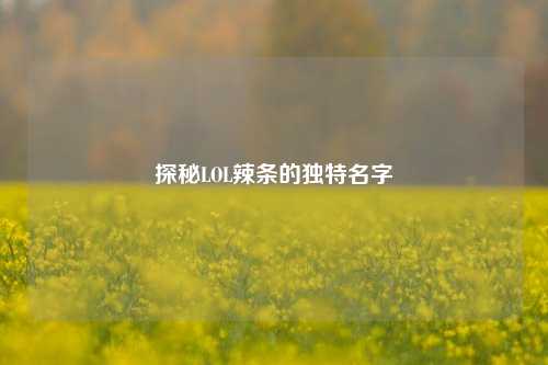 探秘LOL辣条的独特名字