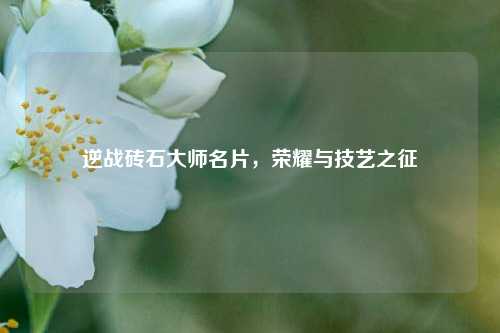 逆战砖石大师名片，荣耀与技艺之征