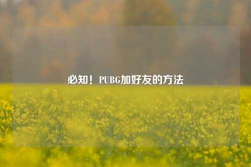 必知!PUBG加好友的方法