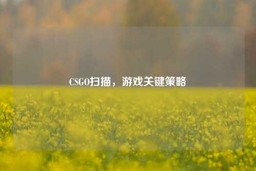 CSGO扫描，游戏关键策略
