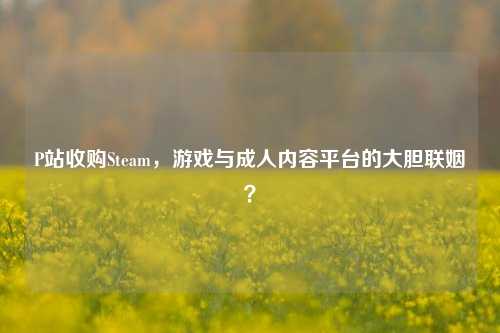 P站收购Steam,游戏与成人内容平台的大胆联姻?