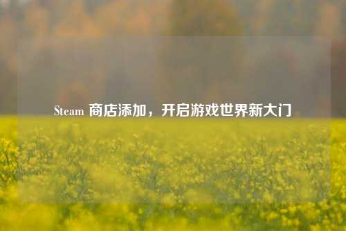 Steam 商店添加,开启游戏世界新大门
