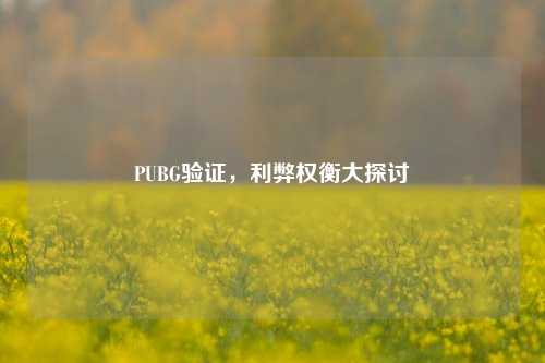 PUBG验证,利弊权衡大探讨