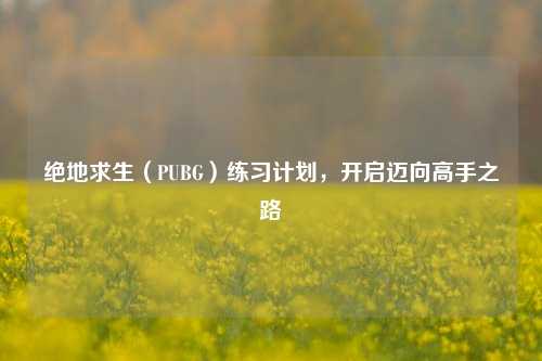 绝地求生（PUBG）练习计划，开启迈向高手之路