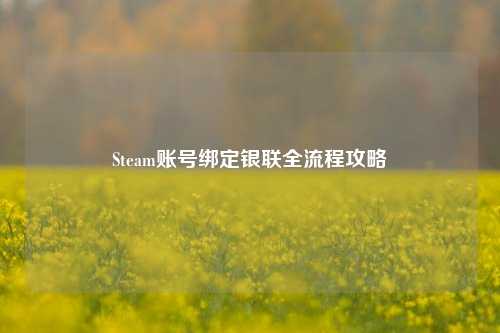 Steam账号绑定银联全流程攻略