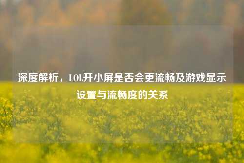 深度解析，LOL开小屏是否会更流畅及游戏显示设置与流畅度的关系