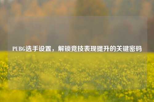 PUBG选手设置,解锁竞技表现提升的关键密码