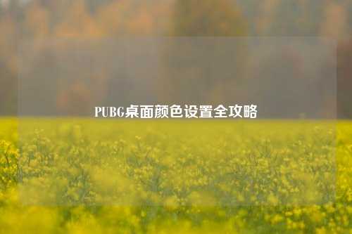 PUBG桌面颜色设置全攻略