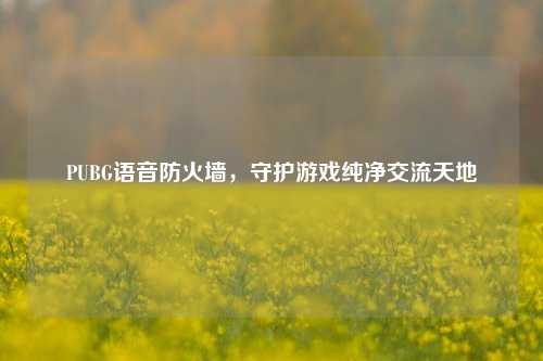 PUBG语音防火墙,守护游戏纯净交流天地