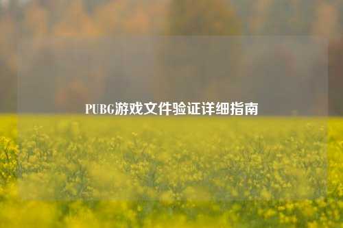 PUBG游戏文件验证详细指南