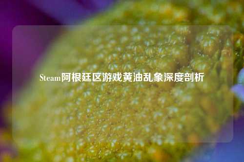 Steam阿根廷区游戏黄油乱象深度剖析