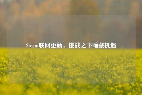 Steam联网更新,挑战之下暗藏机遇