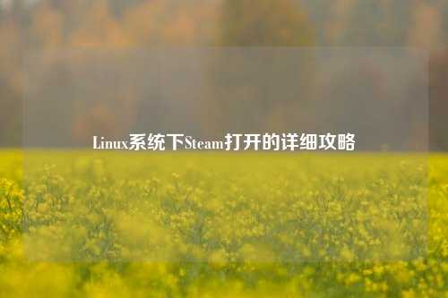 Linux系统下Steam打开的详细攻略