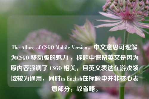 The Allure of CSGO Mobile Version,中文意思可理解为CSGO 移动版的魅力 ,标题中保留英文是因为原内容强调了 CSGO 相关,且英文表达在游戏领域较为通用,同时in English在标题中并非核心表意部分,故省略。
