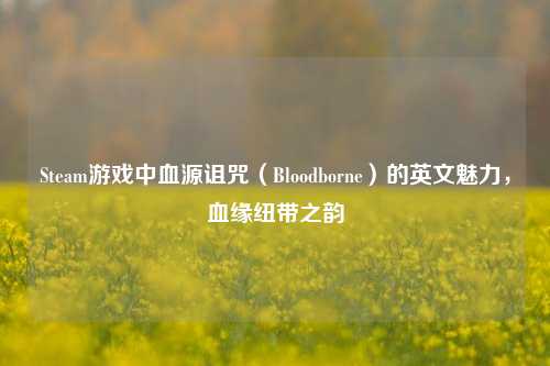 Steam游戏中血源诅咒（Bloodborne）的英文魅力，血缘纽带之韵