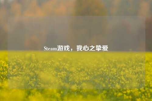 Steam游戏,我心之挚爱