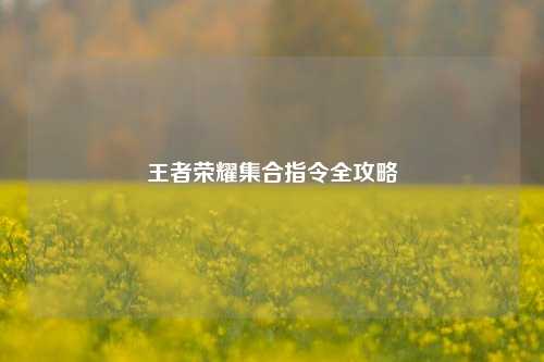 王者荣耀集合指令全攻略