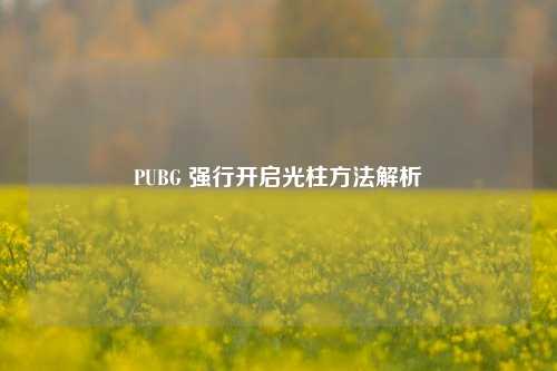 PUBG 强行开启光柱方法解析