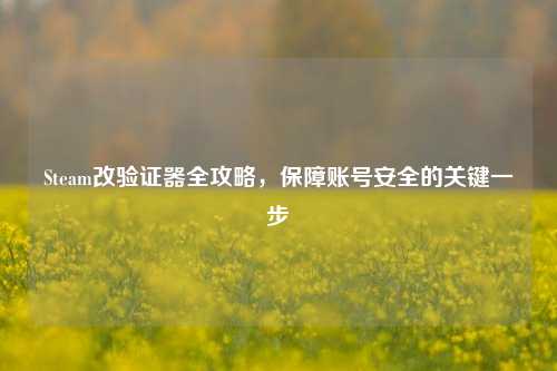 Steam改验证器全攻略,保障账号安全的关键一步