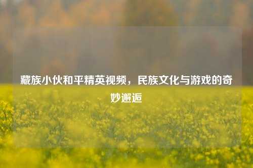 藏族小伙和平精英视频,民族文化与游戏的奇妙邂逅