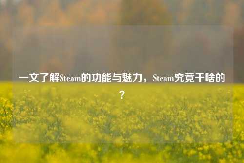 一文了解Steam的功能与魅力,Steam究竟干啥的?