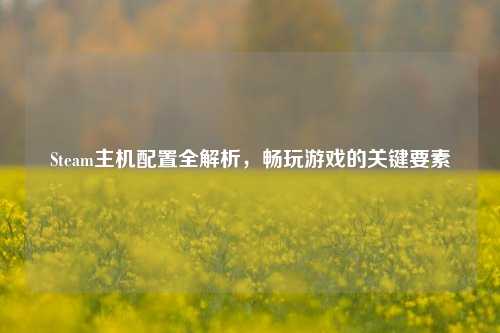 Steam主机配置全解析,畅玩游戏的关键要素