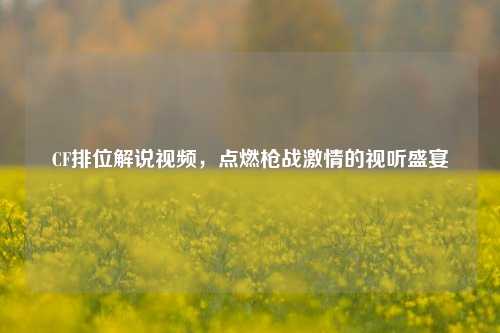 CF排位解说视频,点燃枪战激情的视听盛宴