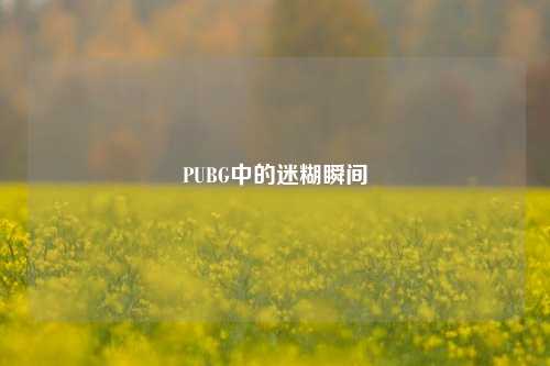 PUBG中的迷糊瞬间