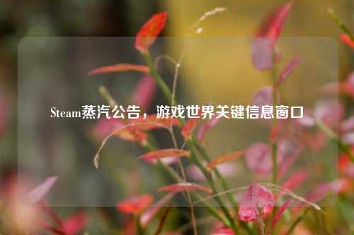Steam蒸汽公告,游戏世界关键信息窗口