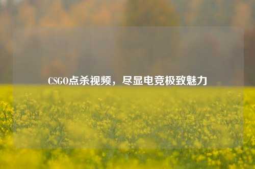 CSGO点杀视频,尽显电竞极致魅力