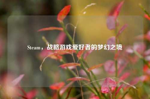 Steam,战略游戏爱好者的梦幻之境