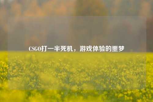 CSGO打一半死机,游戏体验的噩梦