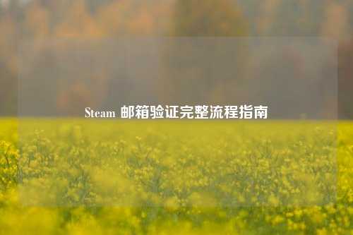 Steam 邮箱验证完整流程指南