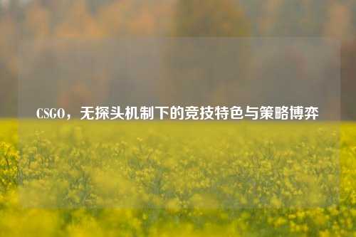 CSGO,无探头机制下的竞技特色与策略博弈