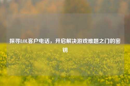 探寻LOL客户电话,开启解决游戏难题之门的密钥
