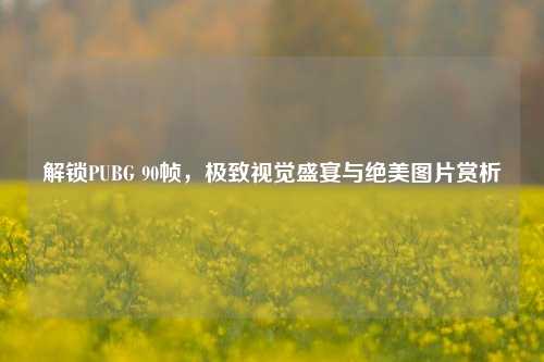 解锁PUBG 90帧,极致视觉盛宴与绝美图片赏析