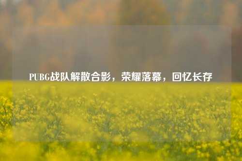 PUBG战队解散合影,荣耀落幕,回忆长存