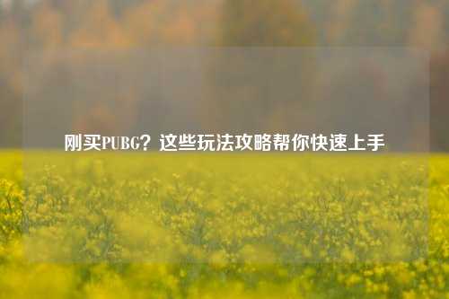 刚买PUBG?这些玩法攻略帮你快速上手