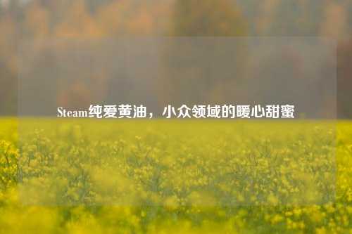 Steam纯爱黄油,小众领域的暖心甜蜜