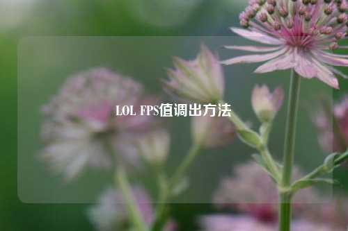 LOL FPS值调出方法