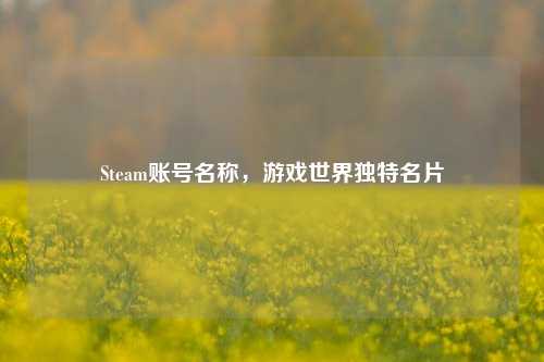 Steam账号名称,游戏世界独特名片