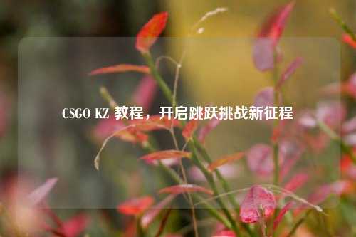 CSGO KZ 教程,开启跳跃挑战新征程