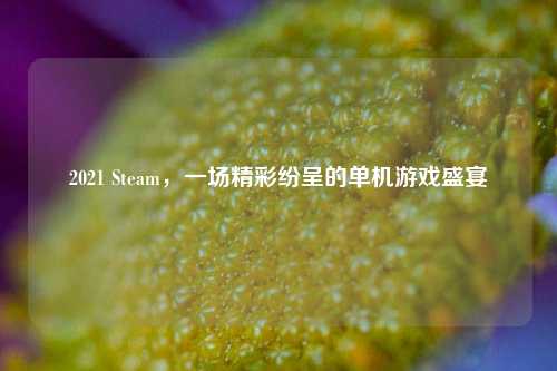2021 Steam,一场精彩纷呈的单机游戏盛宴