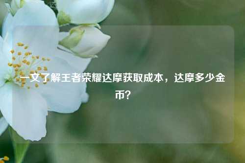 一文了解王者荣耀达摩获取成本,达摩多少金币?