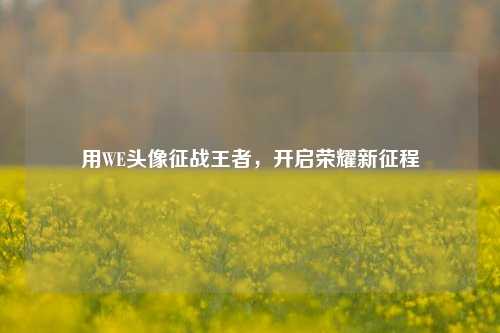 用WE头像征战王者,开启荣耀新征程
