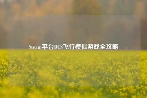 Steam平台DCS飞行模拟游戏全攻略