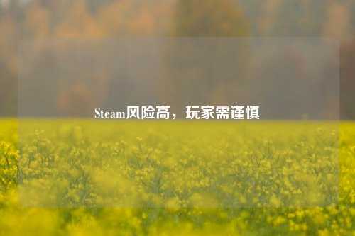 Steam风险高，玩家需谨慎