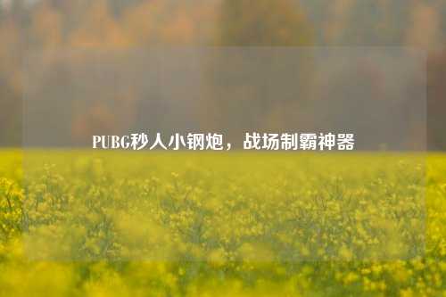 PUBG秒人小钢炮，战场制霸神器